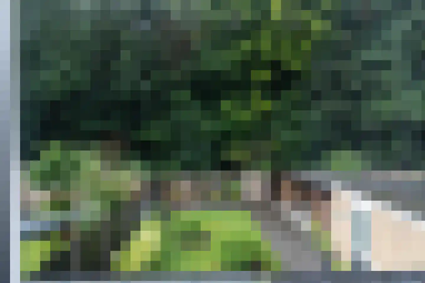 Noordzoom 14 Marknesse thumbnail 46