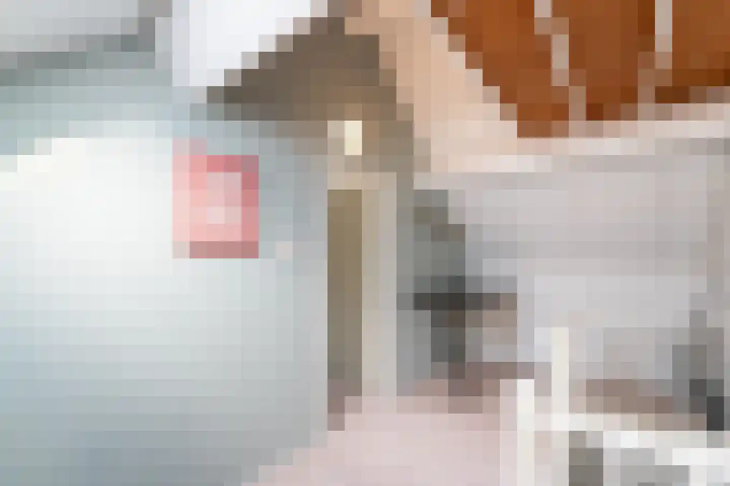 Noordzoom 14 Marknesse thumbnail 49