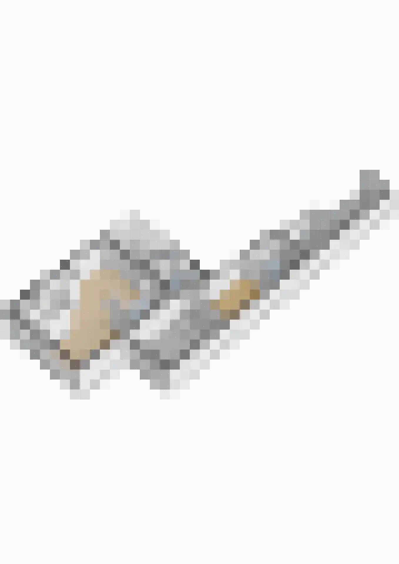 Noordzoom 14 Marknesse thumbnail 54