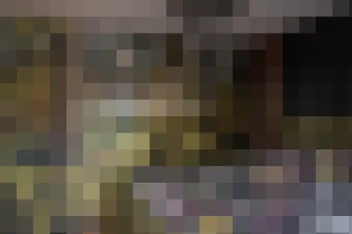 Noordzoom 16 Marknesse thumbnail 15