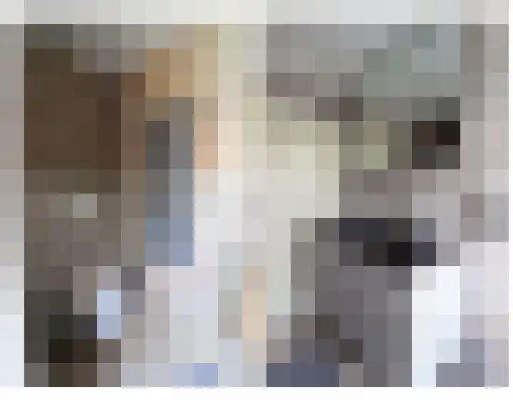 Noordzoom 16 Marknesse thumbnail 16