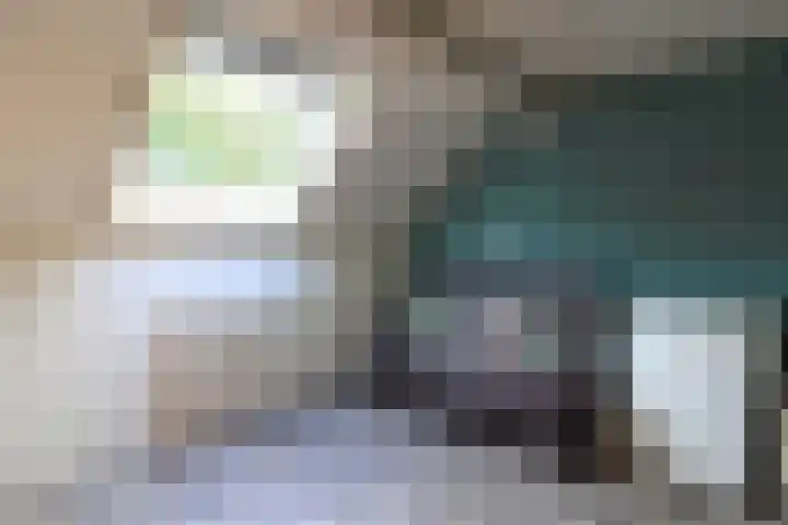 Noordzoom 16 Marknesse thumbnail 17