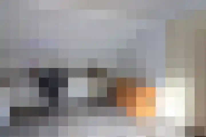 Noordzoom 16 Marknesse thumbnail 18
