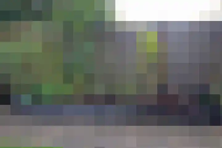 Noordzoom 16 Marknesse thumbnail 24