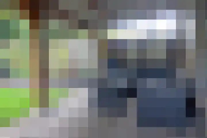 Noordzoom 16 Marknesse thumbnail 25