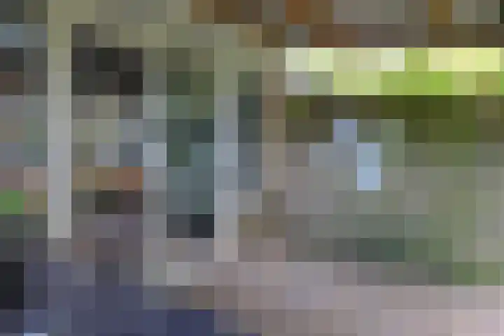 Noordzoom 16 Marknesse thumbnail 27