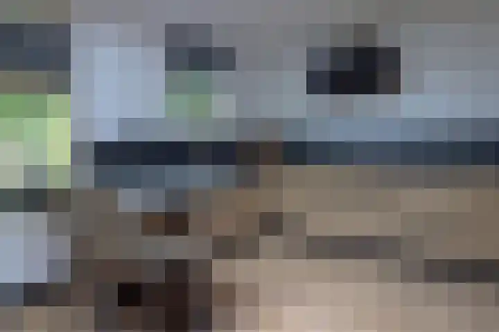 Noordzoom 16 Marknesse thumbnail 7