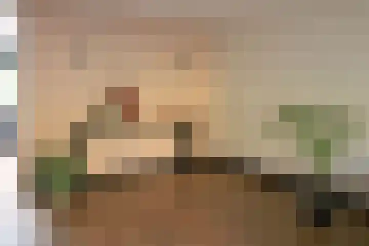 Noordzoom 16 Marknesse thumbnail 9