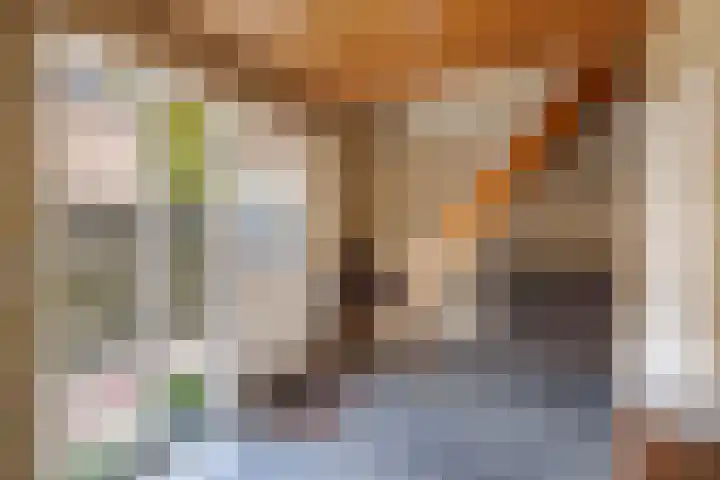 Noordzoom 48 Marknesse thumbnail 11