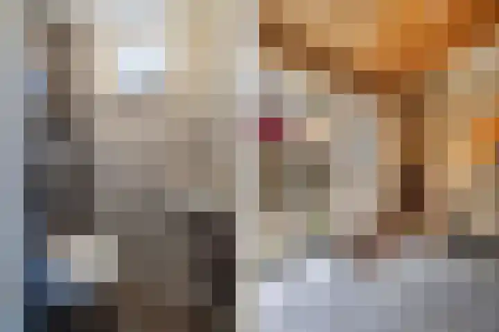 Noordzoom 48 Marknesse thumbnail 12