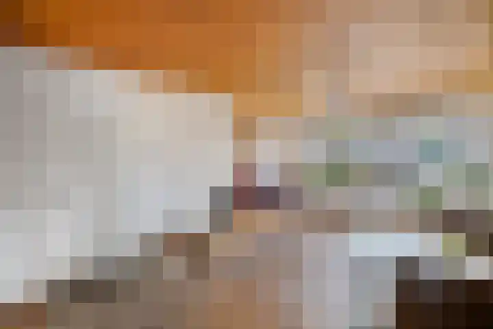 Noordzoom 48 Marknesse thumbnail 13