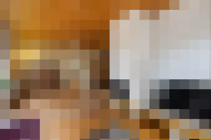 Noordzoom 48 Marknesse thumbnail 15