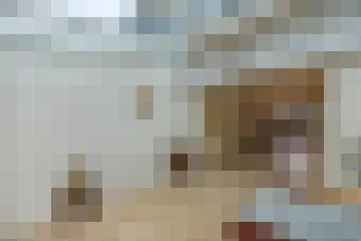 Noordzoom 48 Marknesse thumbnail 16
