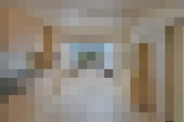 Noordzoom 48 Marknesse thumbnail 19