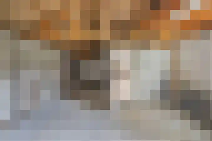 Noordzoom 48 Marknesse thumbnail 21