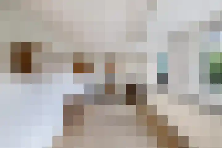 Noordzoom 48 Marknesse thumbnail 22