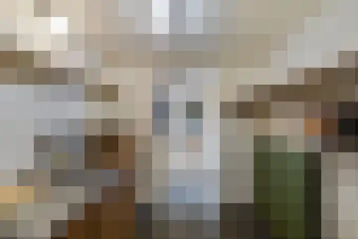 Noordzoom 48 Marknesse thumbnail 24