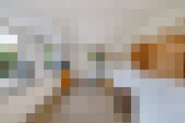 Noordzoom 48 Marknesse thumbnail 25