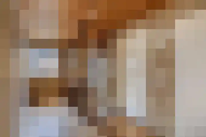 Noordzoom 48 Marknesse thumbnail 26