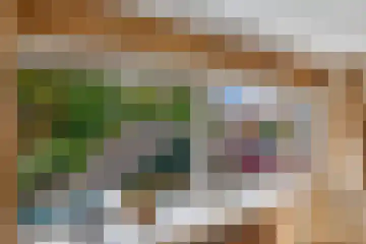 Noordzoom 48 Marknesse thumbnail 28