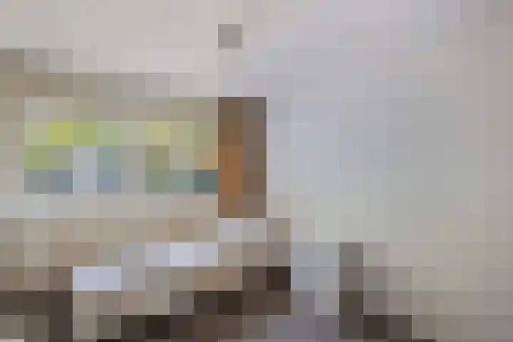 Noordzoom 48 Marknesse thumbnail 29
