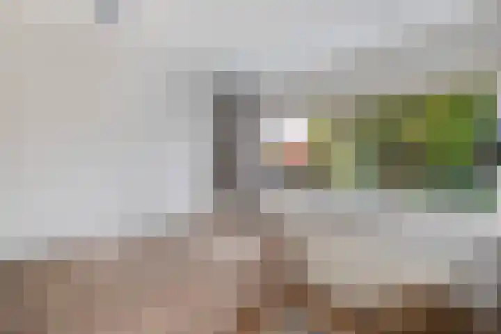 Noordzoom 48 Marknesse thumbnail 30