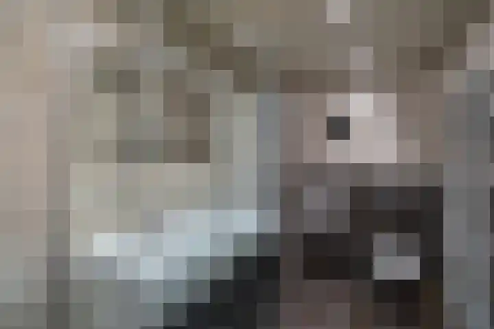Noordzoom 48 Marknesse thumbnail 33