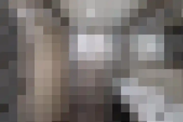 Noordzoom 48 Marknesse thumbnail 34