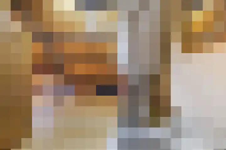Noordzoom 48 Marknesse thumbnail 35