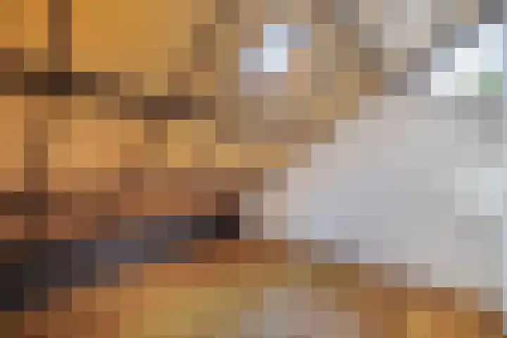 Noordzoom 48 Marknesse thumbnail 36