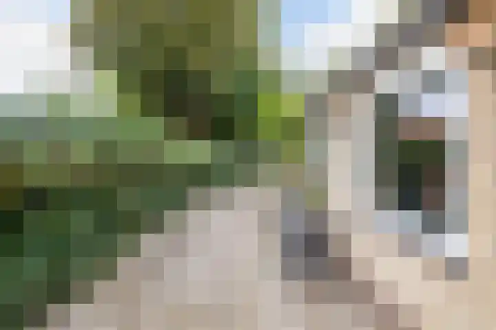Noordzoom 48 Marknesse thumbnail 38