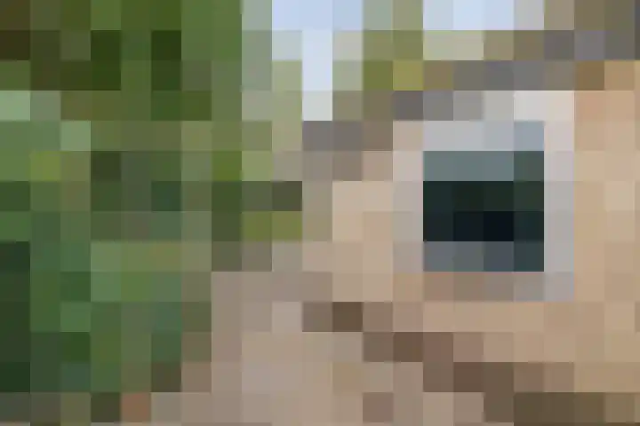 Noordzoom 48 Marknesse thumbnail 39
