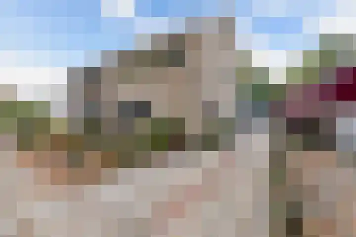 Noordzoom 48 Marknesse thumbnail 4