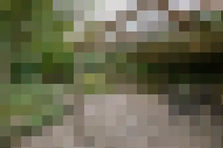 Noordzoom 48 Marknesse thumbnail 40