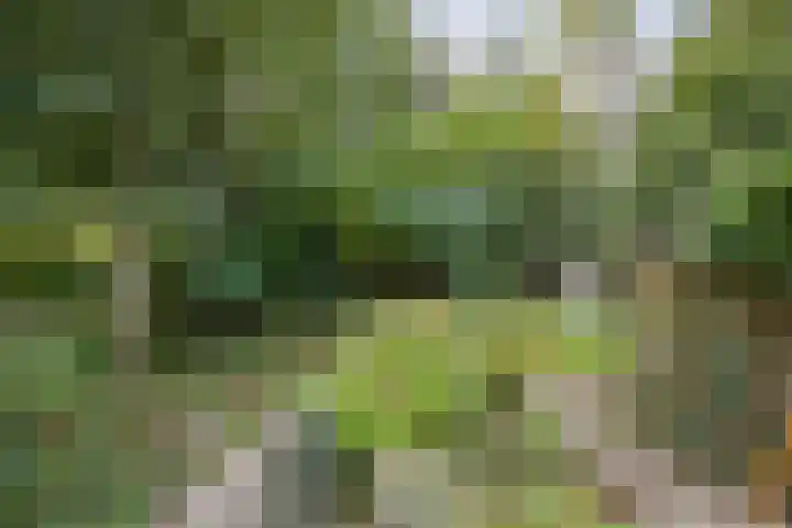 Noordzoom 48 Marknesse thumbnail 41