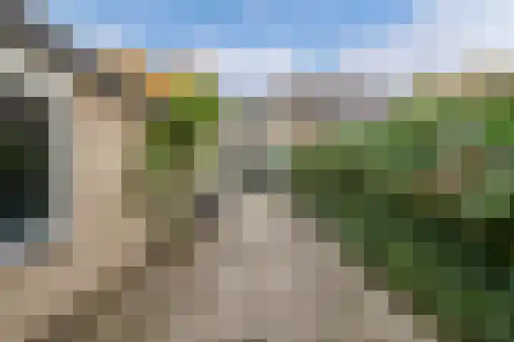 Noordzoom 48 Marknesse thumbnail 42