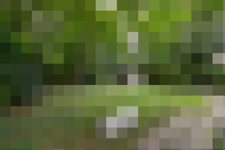 Noordzoom 48 Marknesse thumbnail 43