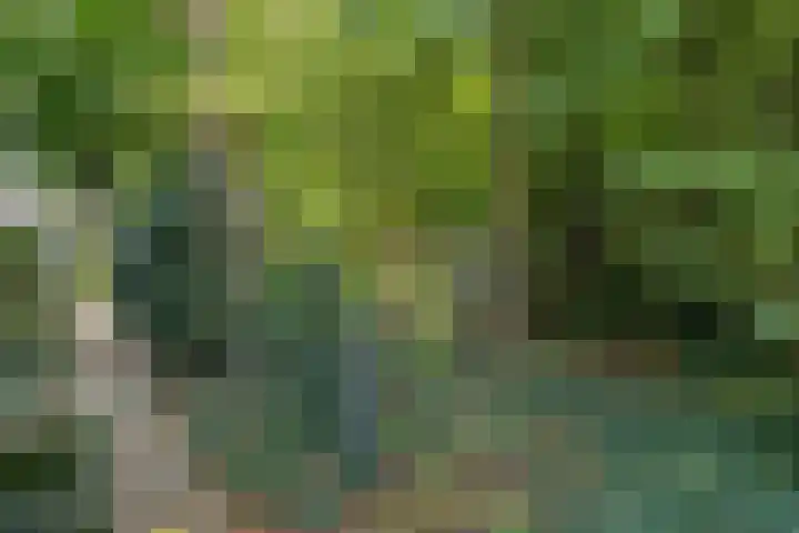 Noordzoom 48 Marknesse thumbnail 44