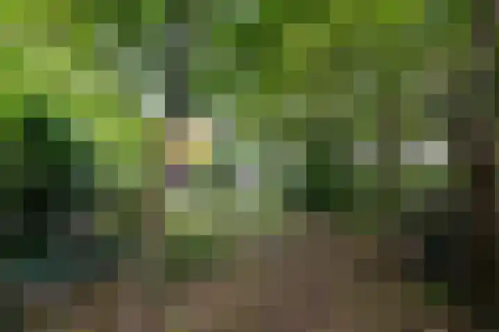 Noordzoom 48 Marknesse thumbnail 45