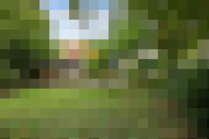 Noordzoom 48 Marknesse thumbnail 46