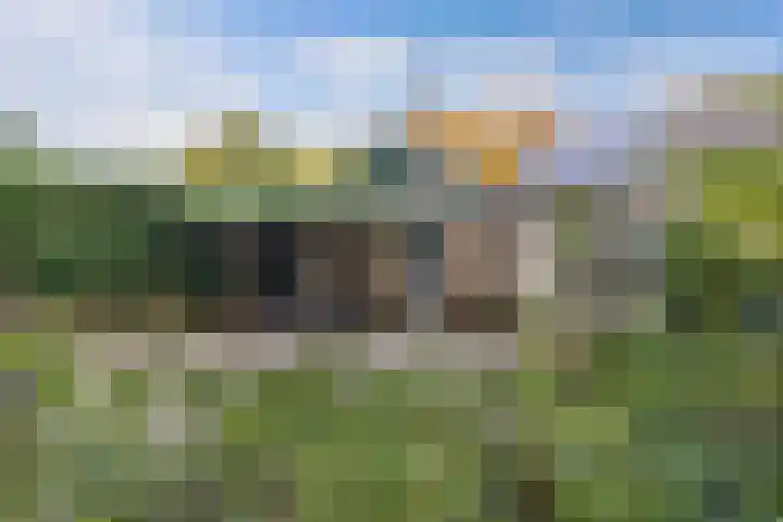 Noordzoom 48 Marknesse thumbnail 47