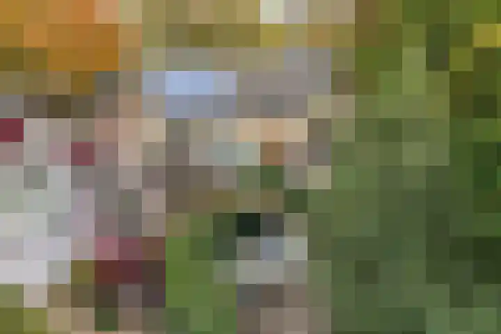 Noordzoom 48 Marknesse thumbnail 48