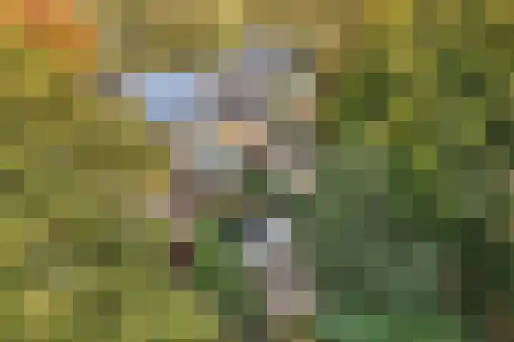 Noordzoom 48 Marknesse thumbnail 49
