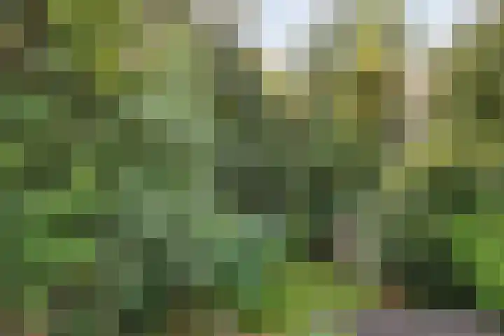 Noordzoom 48 Marknesse thumbnail 50