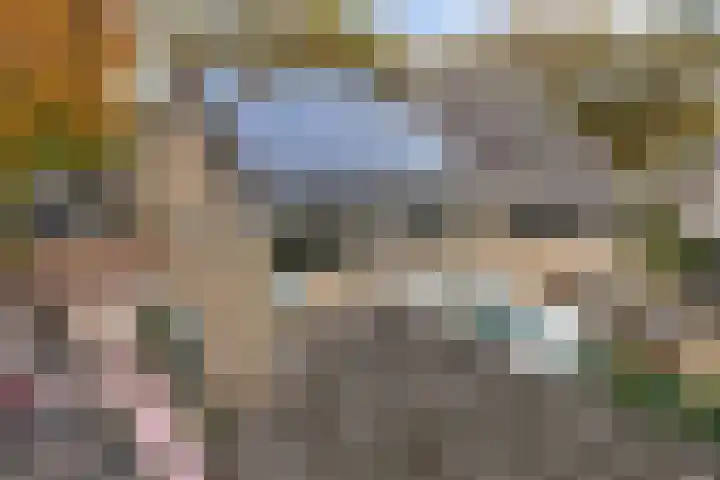 Noordzoom 48 Marknesse thumbnail 52