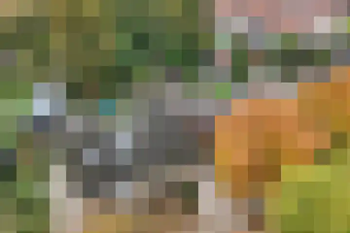 Noordzoom 48 Marknesse thumbnail 53