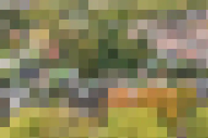 Noordzoom 48 Marknesse thumbnail 54