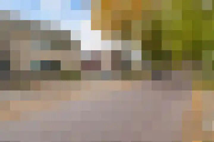Noordzoom 48 Marknesse thumbnail 6