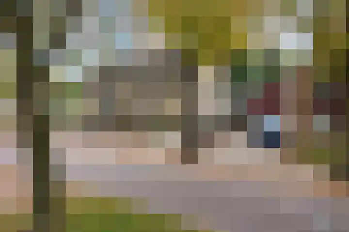 Noordzoom 48 Marknesse thumbnail 8