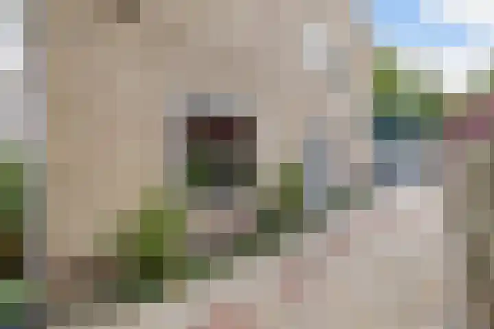 Noordzoom 48 Marknesse thumbnail 9